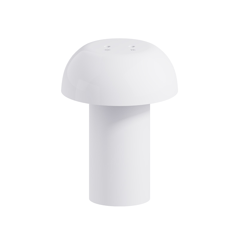 T2 Humidifier